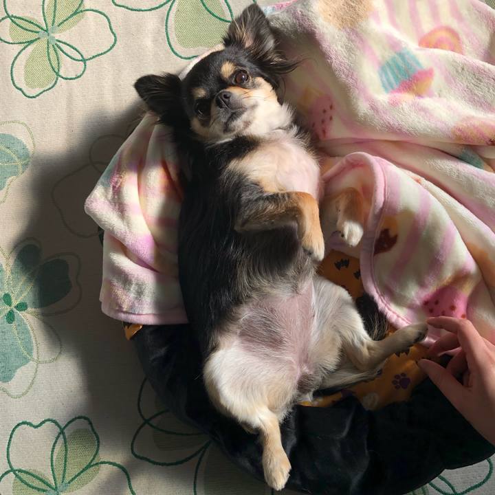 475c803a 95a1 4fc9 b0b0 9424841a98dd 1578142304367