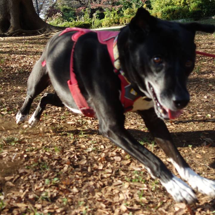 475cd54f a278 49ea a902 05420f4fa44b 1698367406747