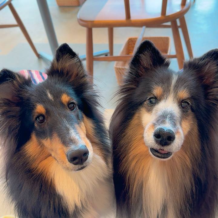 475cfcc6 e7e9 4ddd a0ca 80bb52212c7d 1763606083589