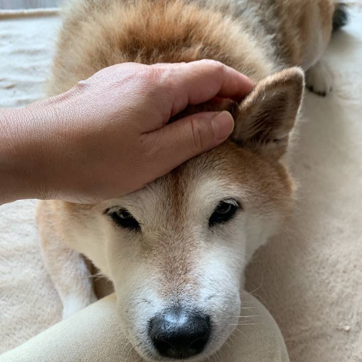 475d6061 cacd 4a96 94e5 a82bc5228215 1564290072439