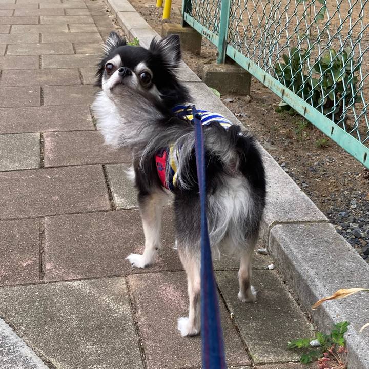 475d79af f777 4648 87ec a47da1b2a368 1696776803973