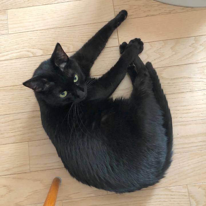 475d7b0e ec6d 4c2b 9d1e 9b8b104e59c1 1546919952222