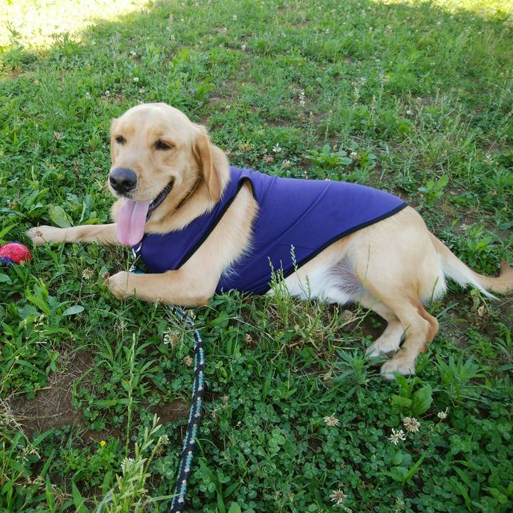 475db630 1ca7 4687 8563 c292a20ff1f9 1530233012543