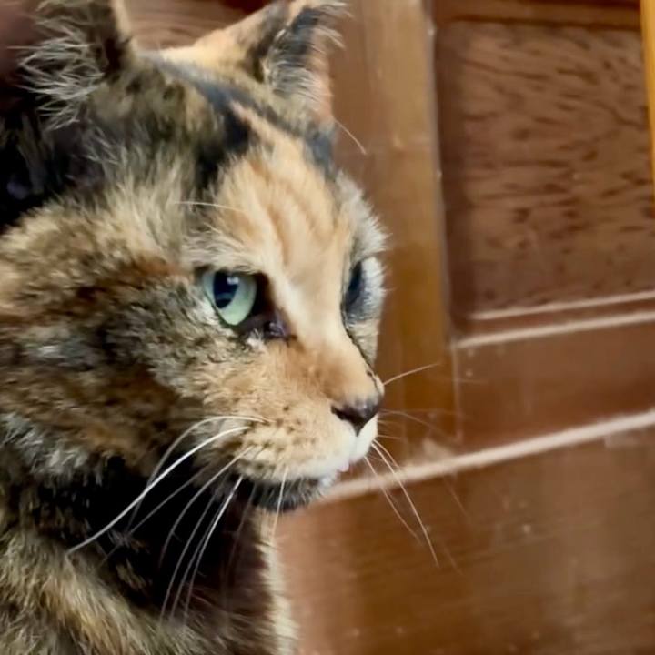 475dba16 e74b 4529 b14f 72a1acf60407 1767792388931