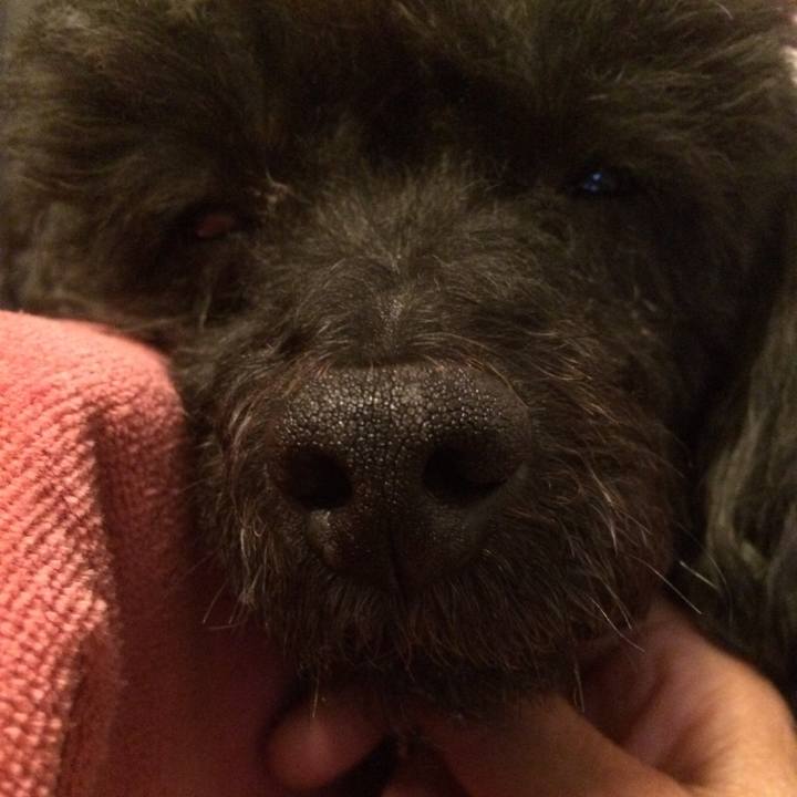 475e356c 9deb 409c 9e59 b3af315f7ee8 1523614495151