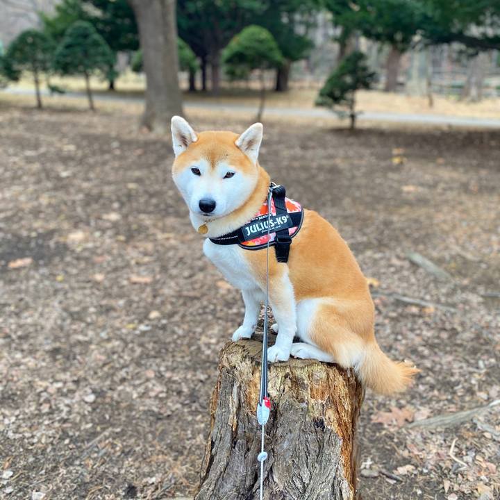 475e6fd4 1933 4472 8ff8 e27ffc34140f 1607645425423