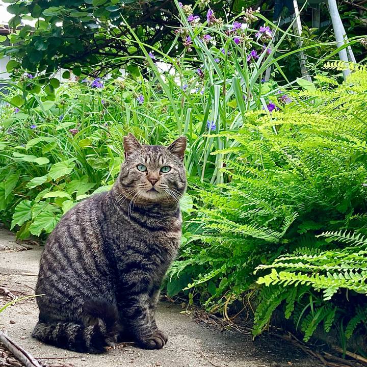 475eb340 29c7 4381 b1b4 8626fe12254d 1735437129524