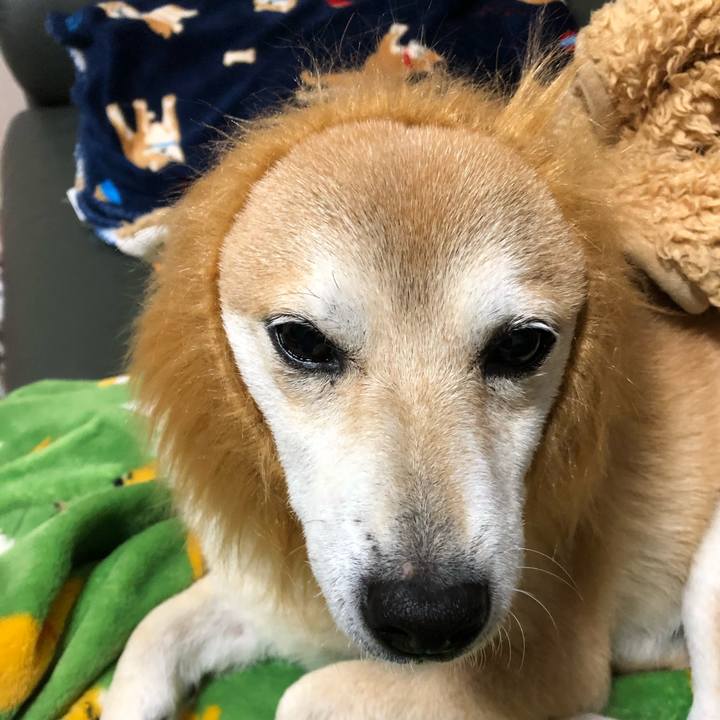 475ec48f a073 43ed bbb3 16fdc27ca5d0 1579862722968