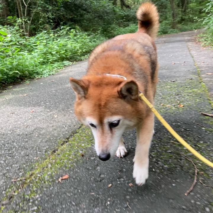 475ec658 1e07 4498 96cf 8c931cd314c7 1659854212611