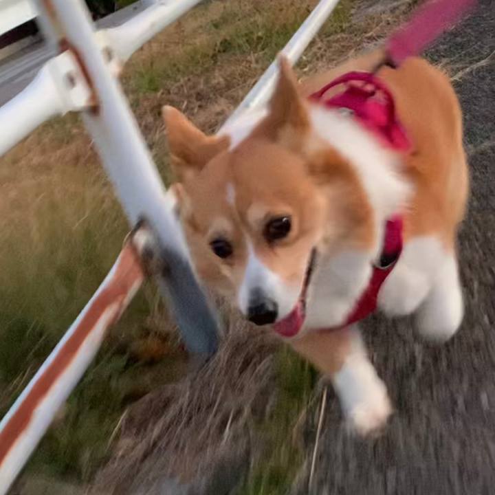 475efe14 502f 4ebd 9014 12d8a26c3992 1641977200445