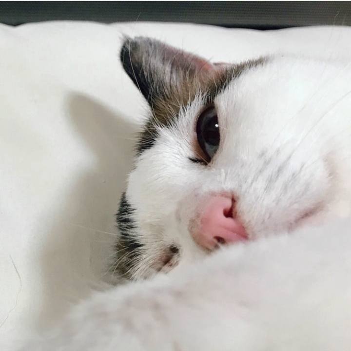 475f0fec 9437 4381 9400 bae8d52eaa18 1721118689062