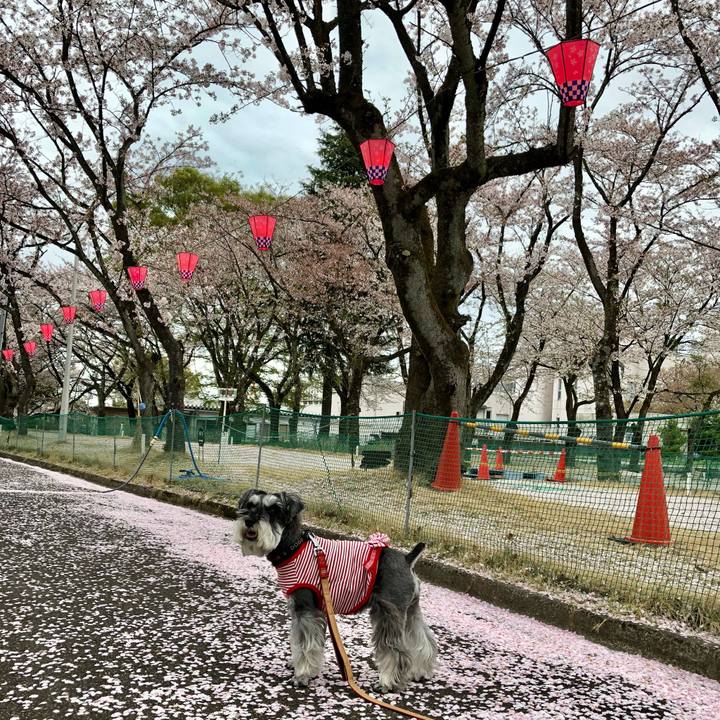 475f12ba 4327 4300 ab2a 5cb69e762ce2 1681221264088