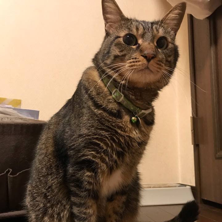 475f4477 78dd 4cbe ac80 cf34fd718aee 1602596998251