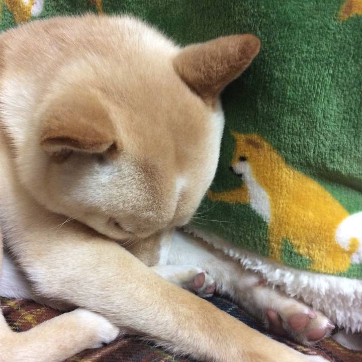 475f4bab c1cc 46c7 99f1 55fba95db88c 1516013053082