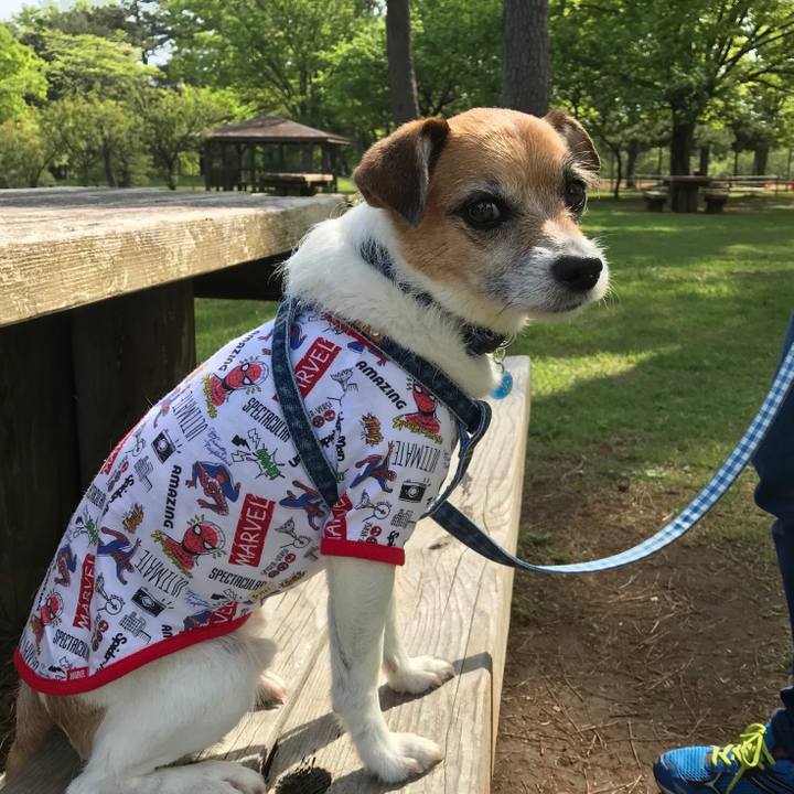 475f5247 fa81 4f6a 9e85 10d7ec238b43 1557020403038