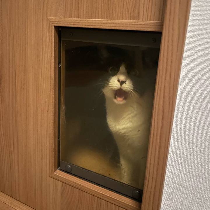 475f578d 912a 458c 9711 aced06a9fb0f 1724752757902