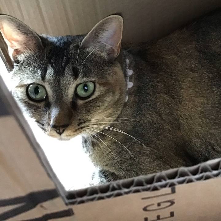 475f7171 fa44 4761 ad1f e6c0c5a892f7 1597881648914