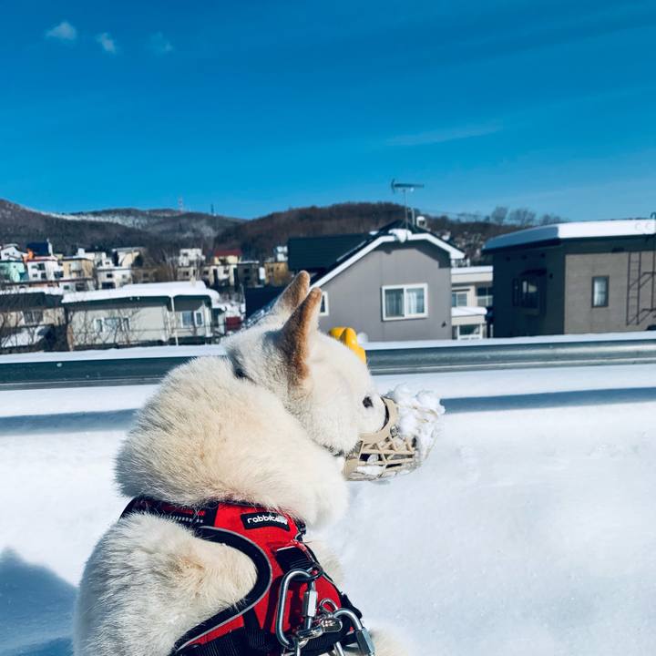 475fd2b5 491b 4eb0 84c4 ed822142a585 1613096334229