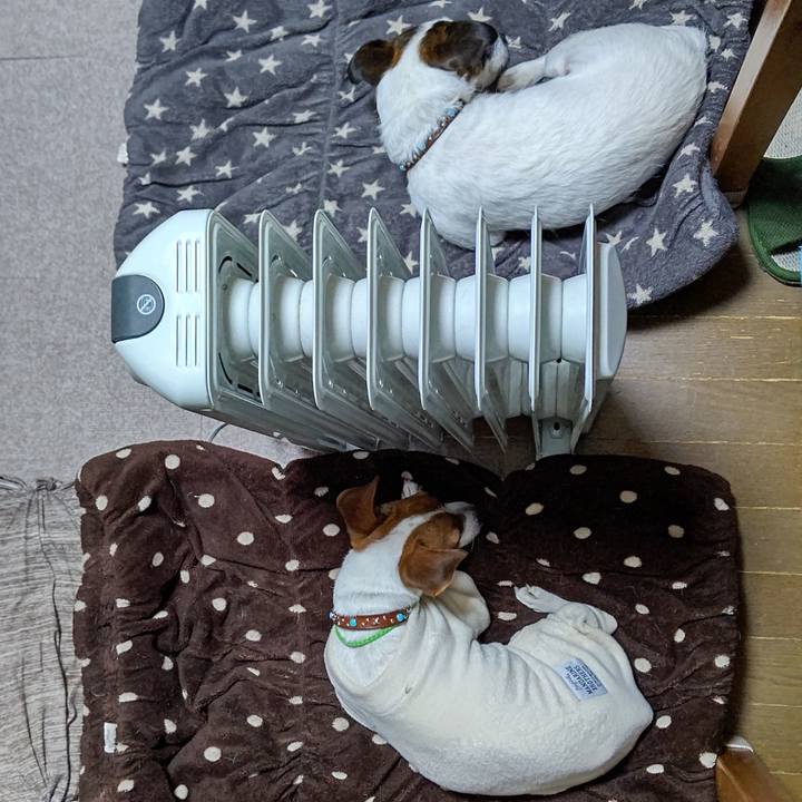 475fd4e1 205f 4864 9fc7 69bd2528ff31 1641083161913