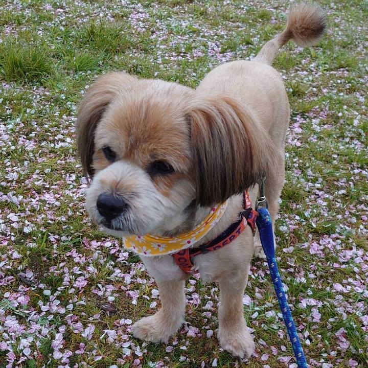 475fd970 d04a 4f13 8321 61d4dd8f94bd 1586697399094