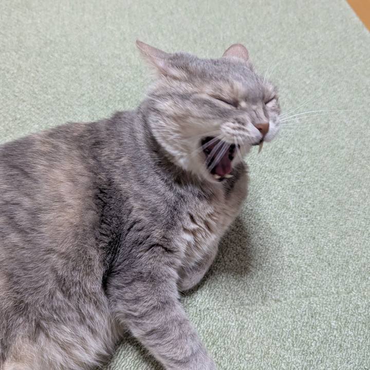 475fe89f c782 430d 8087 3aed32b25a9b 1749801042066