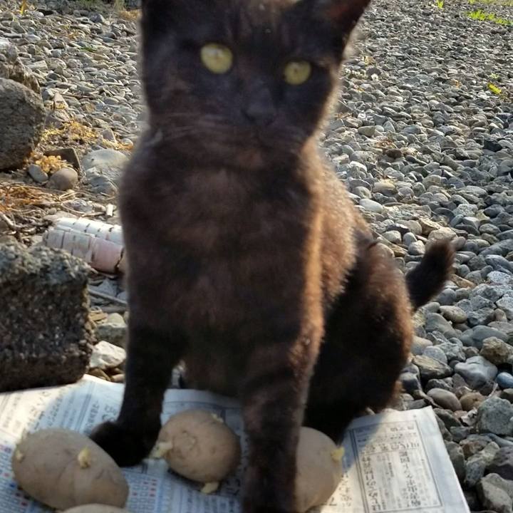 47603478 f007 4a7b b0d4 e50615f0af97 1653488683649