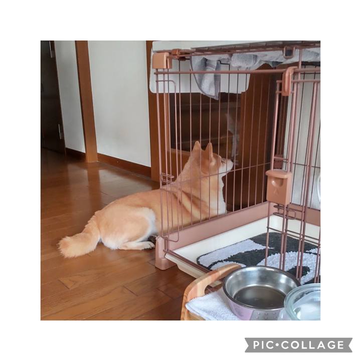 47604df3 9908 40bb 97d2 cf966faaf7de 1768031331061