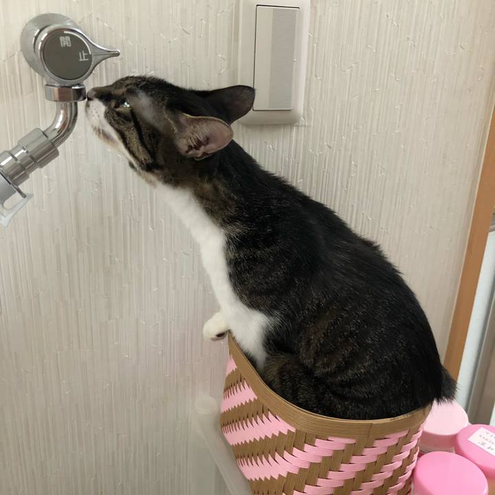 47607643 97ad 47a3 acca 052000a1d3cd 1536782789406