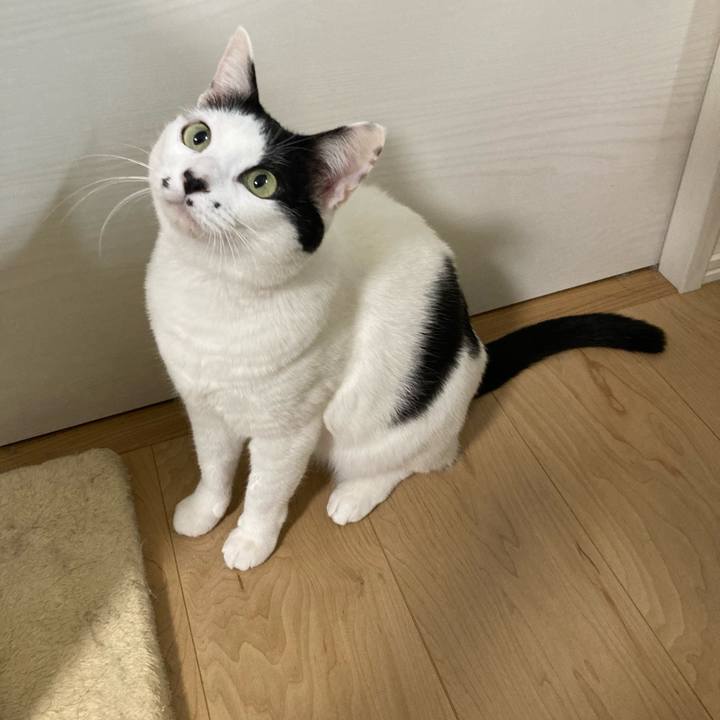 47609845 a403 4e4f b508 983e28d97334 1765225002253