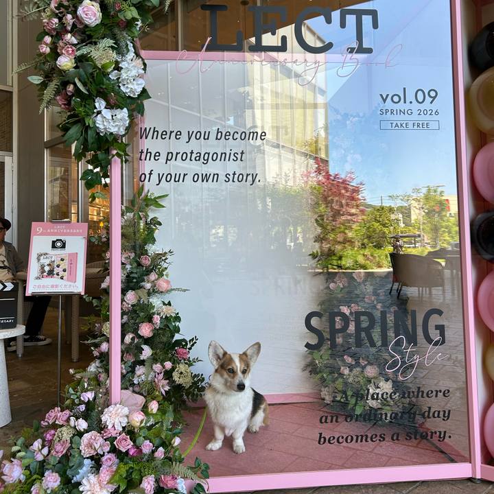 4760a71a e88a 406e 9530 a8bb2bc5c7e9 1776313593949