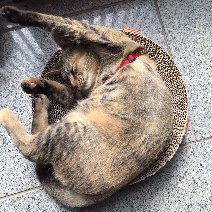 4760a829 ad1d 44d1 9339 9e213170e708 1582944318644