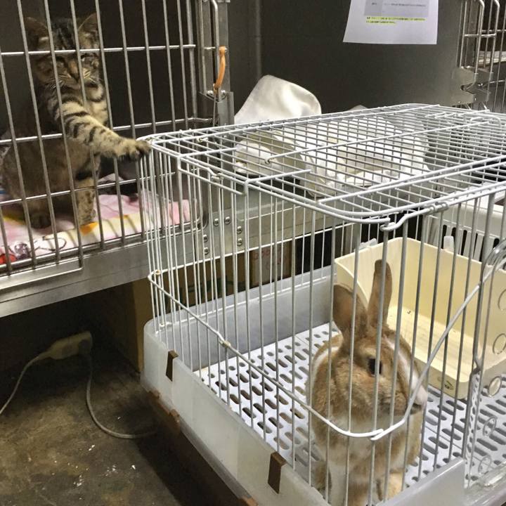 4760ae69 b684 404b 94a4 9e43933059d9 1556927551176