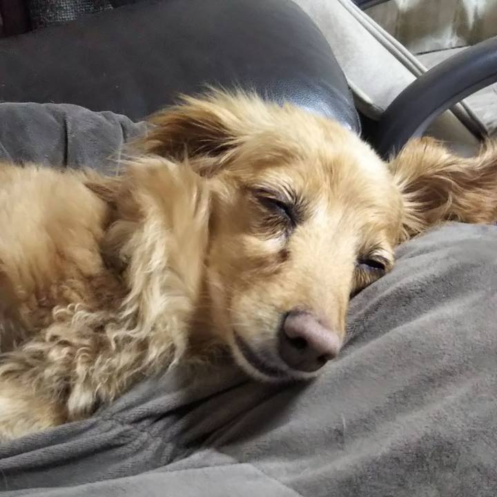 4760be31 a8b6 4d44 833d 07c51d3eb12f 1589203757559