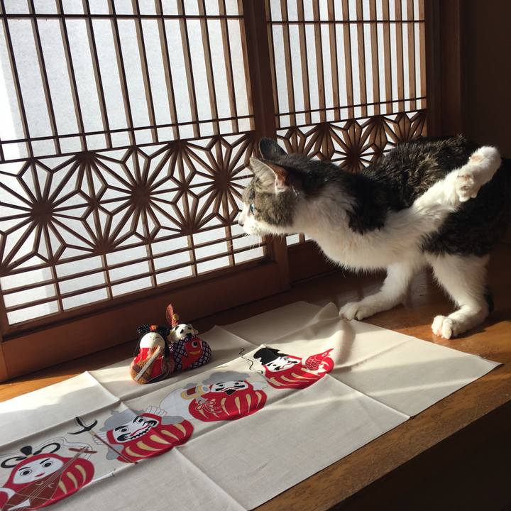 4760e953 46b9 44a6 b032 27664e92ebd7 1514773099365