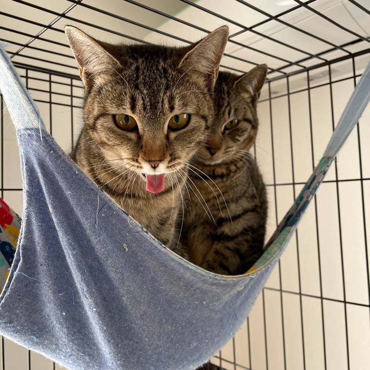 476104bc b127 46f2 81a4 13cbb19e1099 1644643347115