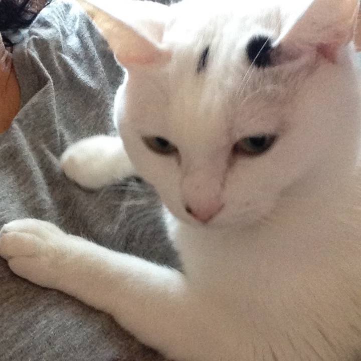 47610a94 bff4 4668 acc3 f4f6285a9b31 1536359955443