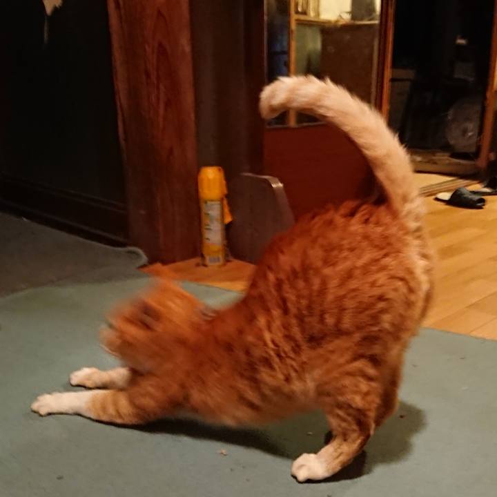 4761350b 25a0 467b becf 1d47078a0710 1575629750364