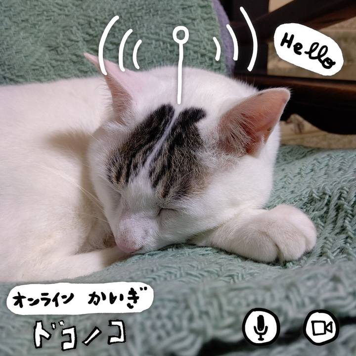 47618090 35f8 4391 a77c aeefe2c33ac8 1590980346522