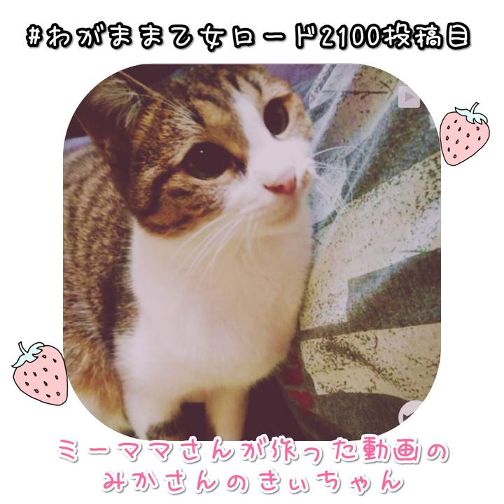 4761d541 d91e 4f30 b735 b3b20ff91f44 1577779518425