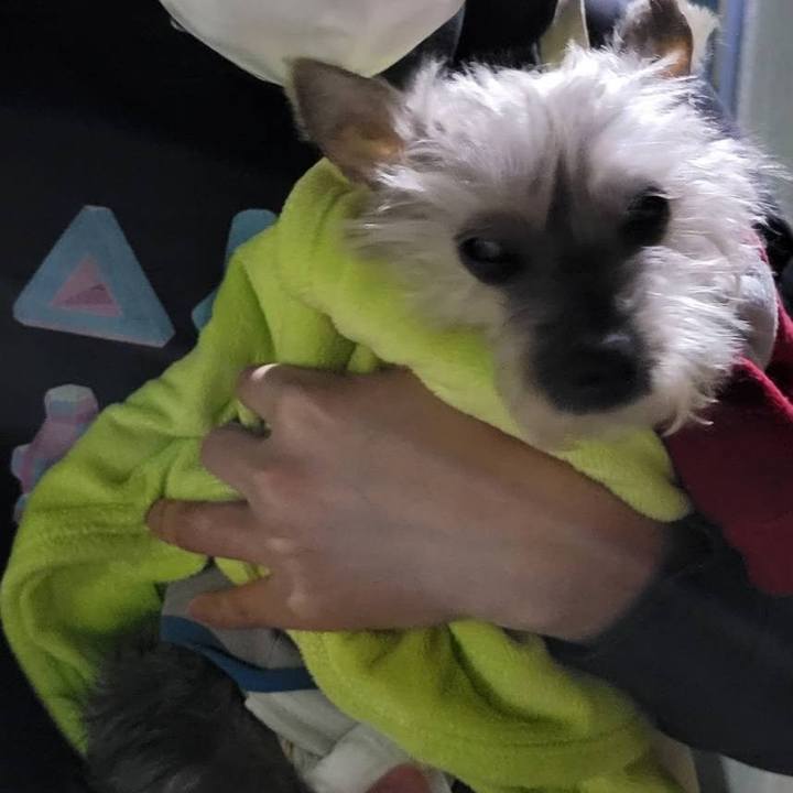 4761f0ec 7d24 4009 9d99 46cde5127429 1683429435493