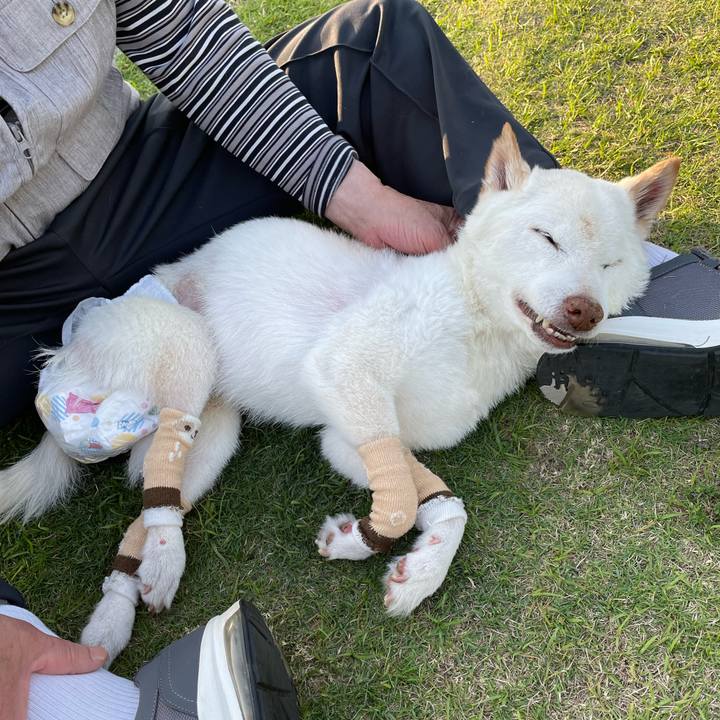 4761f473 5c3d 443c b251 7bc2a4afa76a 1684239006118