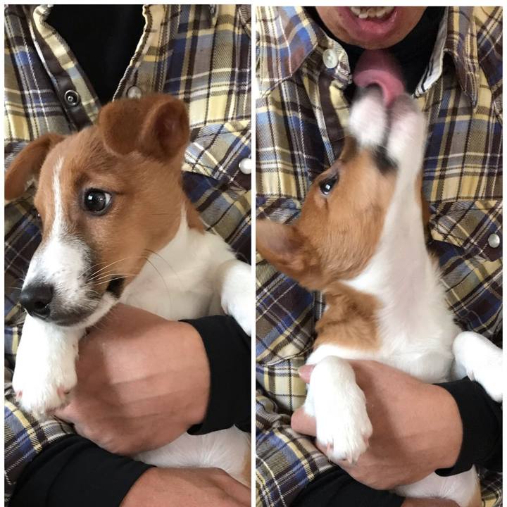 4761fa43 ceb7 4489 9fce 7b93939ac6fc 1577600286517