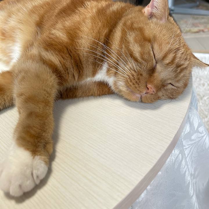 476266df f409 4833 8bb8 fe178b0c77ad 1626500078566