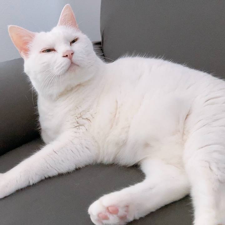 47630e6d 9193 403d bbe0 94fd622a3cd8 1758106156595