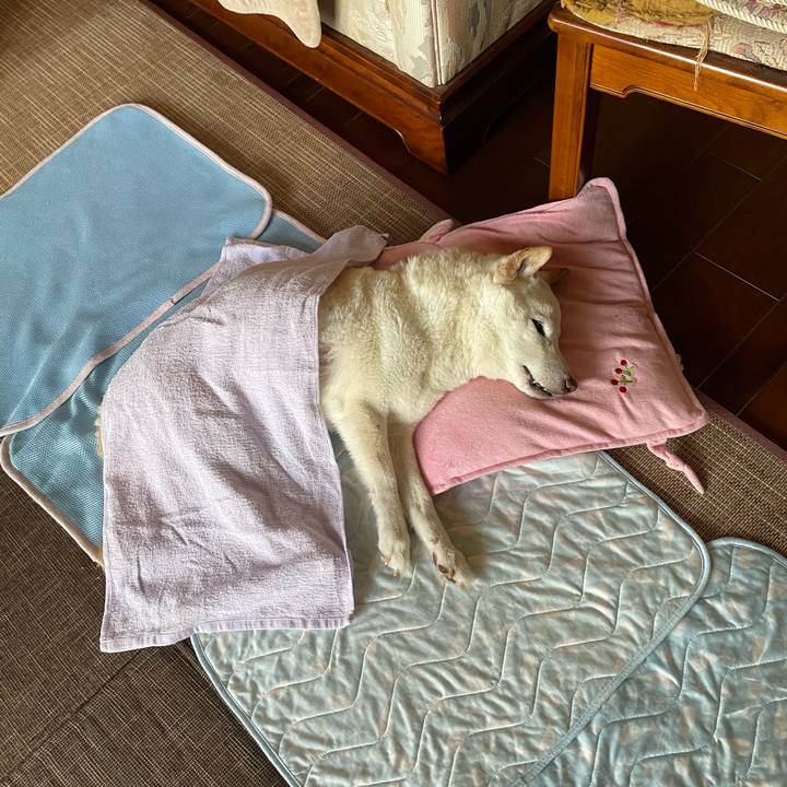 4763772c 5cc7 4040 b8d7 0a7f0bdd5266 1659272864291