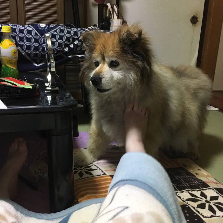 4763bc72 d013 4fd4 8c3f 0971716c04e7 1558098400867