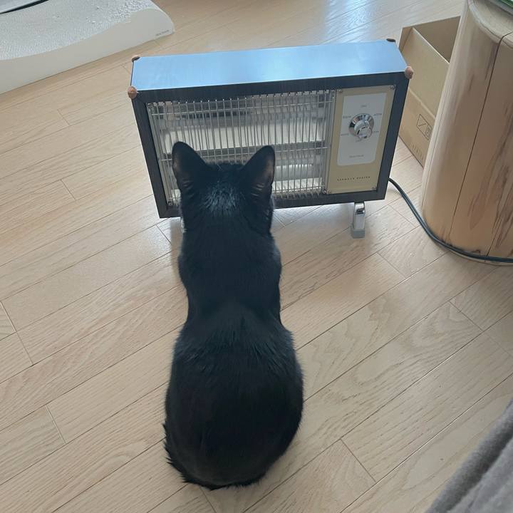 4764040e 2dda 4adf 8338 ade9482a5ab2 1646046822866