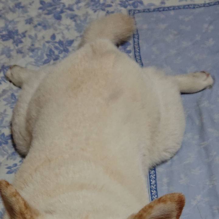 4764393a f862 420e 9022 1856a0350596 1590143376392