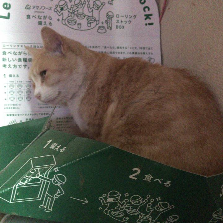 47644645 a64a 4359 82eb 9ef82ec26795 1512172703448