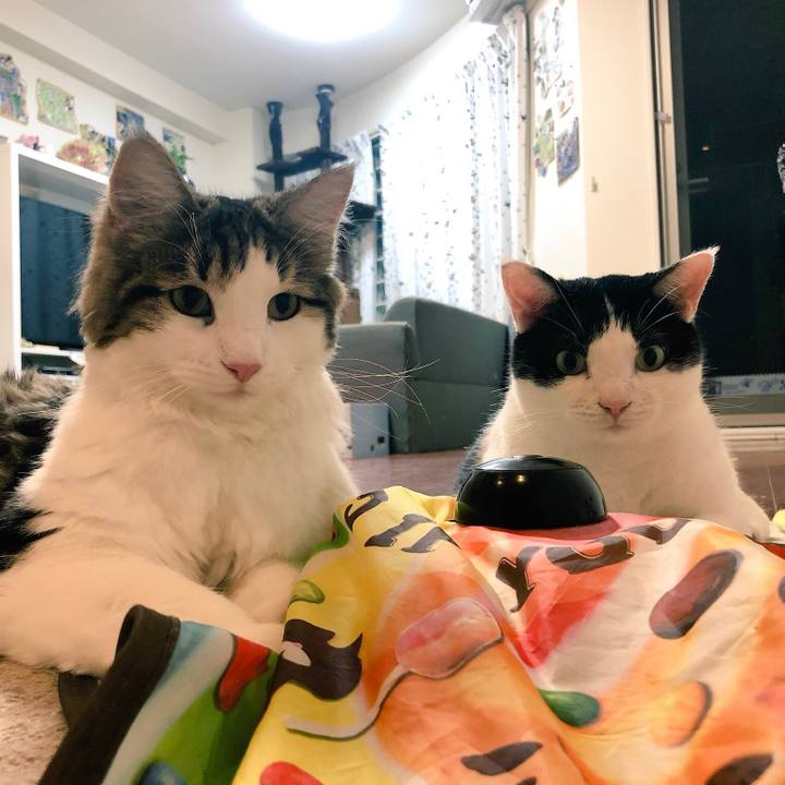 4764496b 6f53 4941 8b15 c23fc037f264 1539336410959